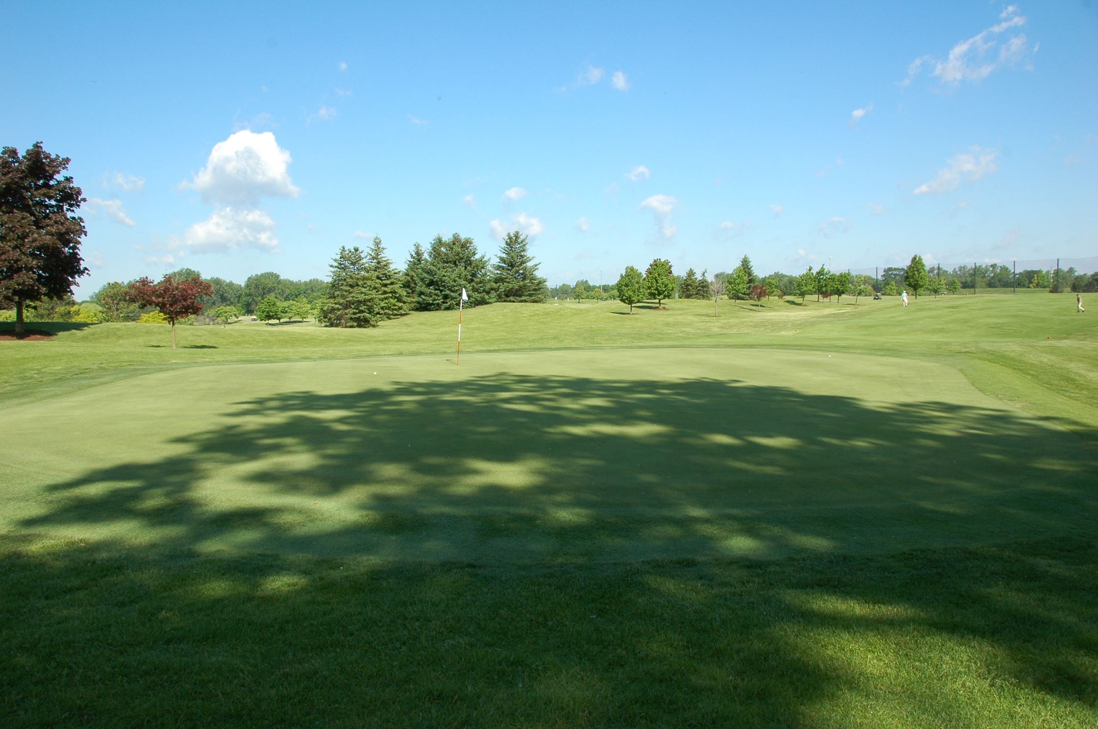 A view of the beautiful scenery of the Taylor Meadows Golf Course.